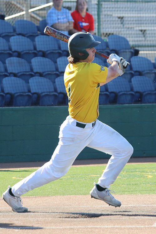Tyler Wulfert, MC Chaparral Baseball
